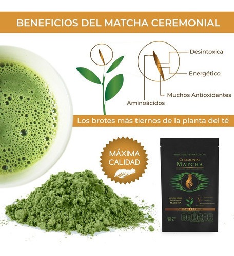 Matcha Ceremonial 500g Orgánico - Matcha México