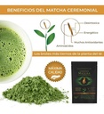 Matcha Ceremonial 500g Orgánico - Matcha México
